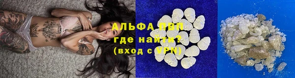индика Горно-Алтайск