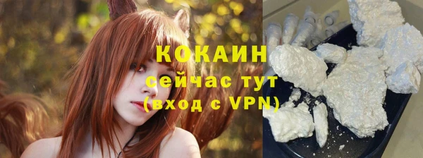 кокс Алексин