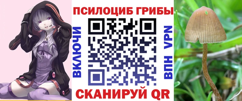 Галлюциногенные грибы мухоморы  Новая Ляля 